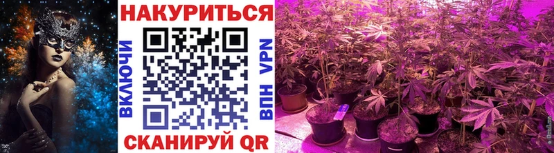 Как найти закладки Сортавала Каннабис  СОЛЬ  КОКАИН  ГАШ  Меф 