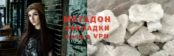 шишки Арсеньев