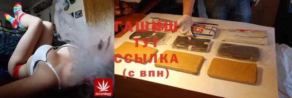 шишки Арсеньев