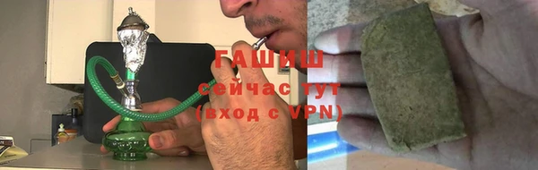шишки Арсеньев