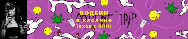 шишки Арсеньев