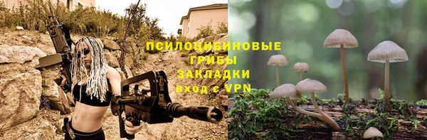 шишки Арсеньев