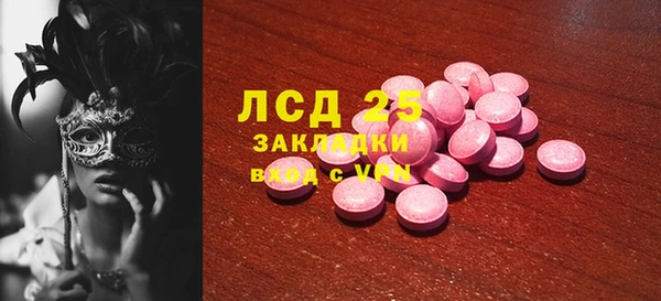 шишки Арсеньев