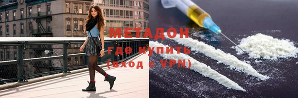 шишки Арсеньев