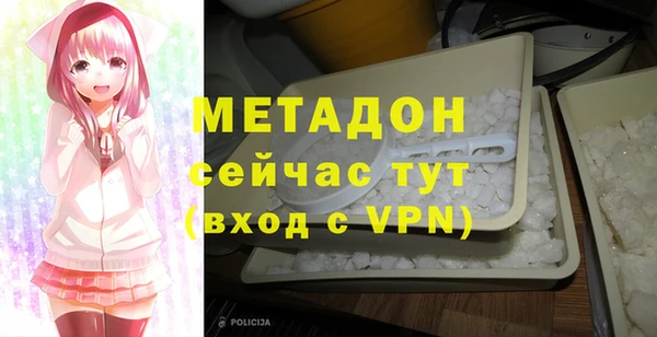 шишки Арсеньев