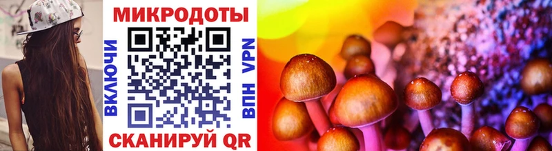 блэк спрут зеркало  Сортавала  Псилоцибиновые грибы Magic Shrooms 